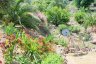 Petite balancoire - 