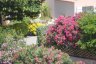 Les fleurs du jardin - 