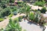 Le jardin vu de la terrasse - 