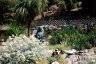 gite_corse_costa_di_sognu_0005.JPG - 