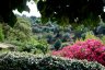 gite_corse_costa_di_sognu_0006.JPG - 