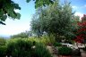 gite_corse_costa_di_sognu_0008.JPG - 