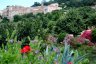 gite_corse_costa_di_sognu_0011.JPG - 