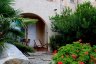 gite_corse_costa_di_sognu_0014.JPG - 
