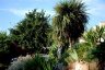 gite_corse_costa_di_sognu_0016.JPG - 
