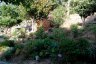 gite_corse_costa_di_sognu_0018.JPG - 
