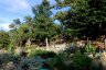 gite_corse_costa_di_sognu_0019.JPG - 