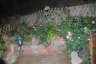 gite_corse_costa_di_sognu_0024.JPG - 