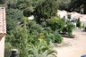 Le jardin - 